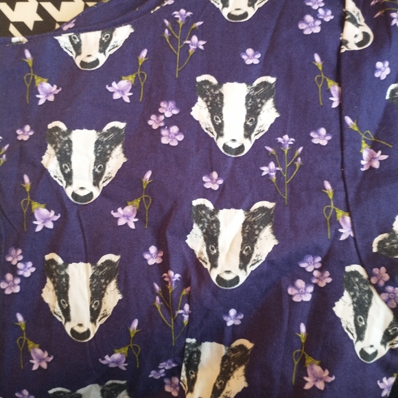 QUIRKY AND BEAUTIFUL RUN & FLY "BADGER PRINT" TEA PARTY DRESS - Picture 10 of 12